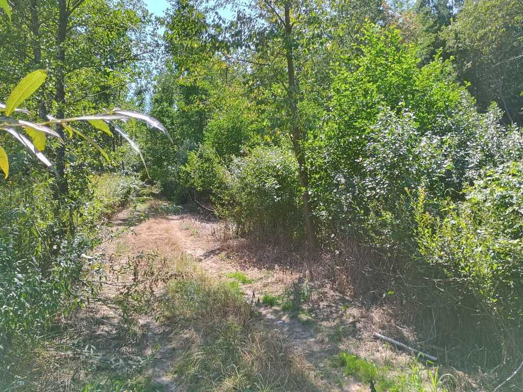 Działka Sprzedaż Lubaczów
