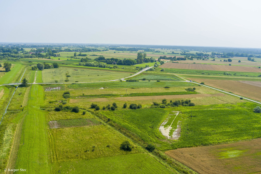 Działka Sprzedaż Kwików