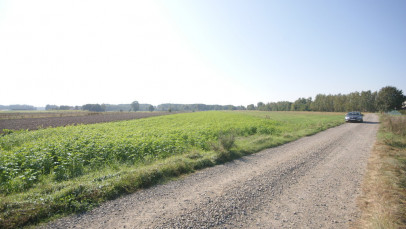 Działka Sprzedaż Rudka Gołębska