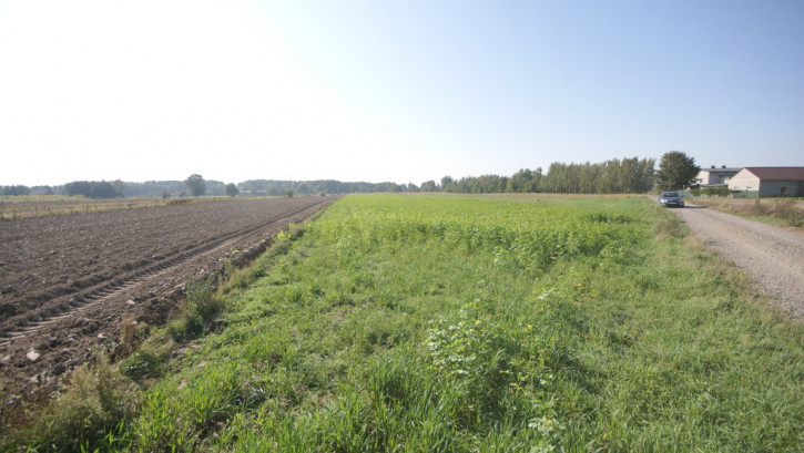 Działka Sprzedaż Rudka Gołębska 4