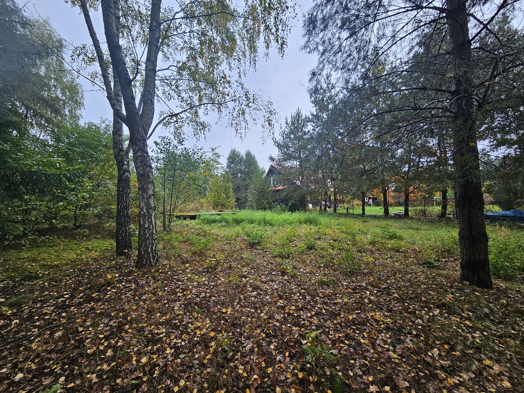 Działka Sprzedaż Rogóźno