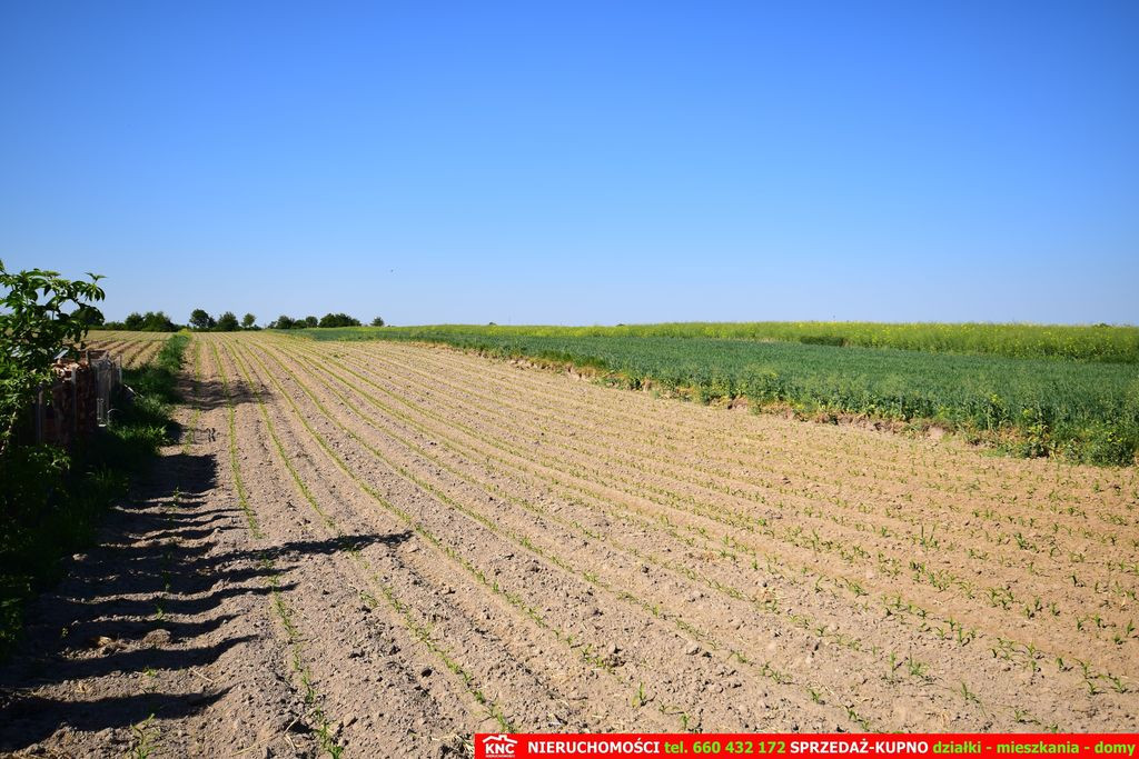 Działka Sprzedaż Dominów