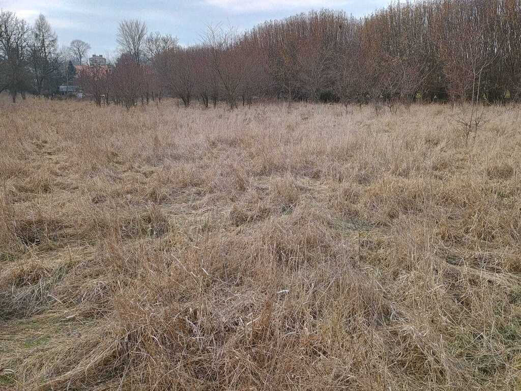Działka Sprzedaż Jarosław