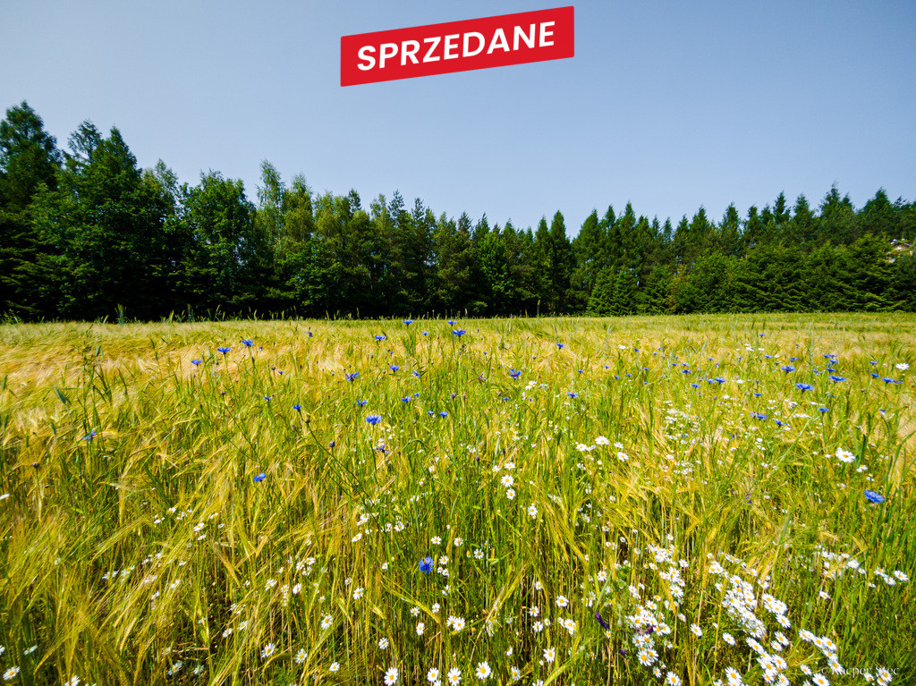 Działka Sprzedaż Domosławice