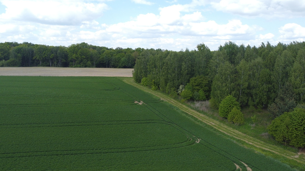 Działka Sprzedaż Chruszczów-Kolonia