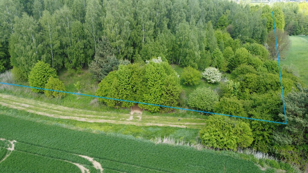 Działka Sprzedaż Chruszczów-Kolonia