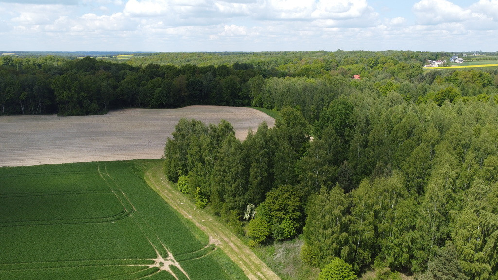 Działka Sprzedaż Chruszczów-Kolonia