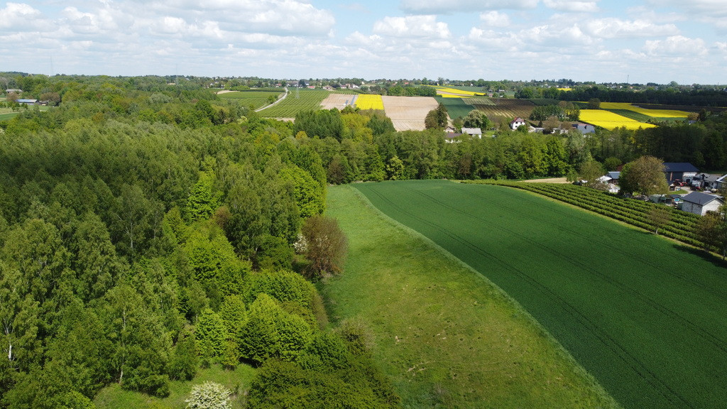 Działka Sprzedaż Chruszczów-Kolonia