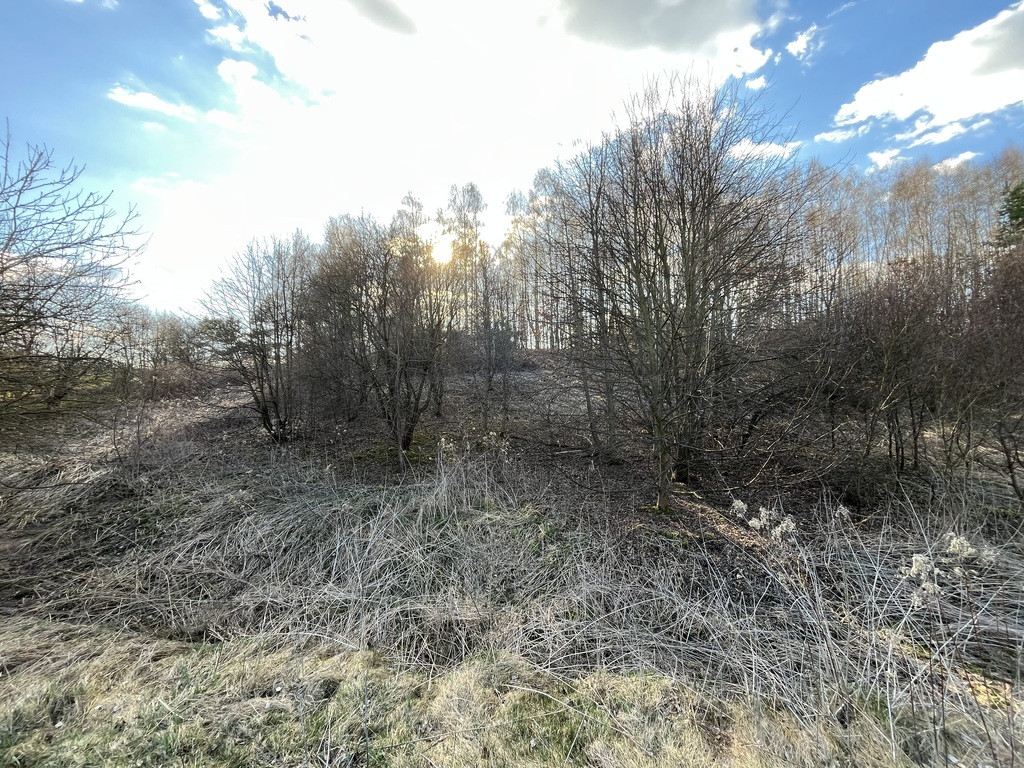 Działka Sprzedaż Chruszczów-Kolonia