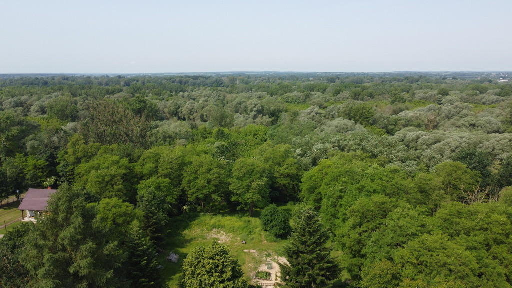 Działka Sprzedaż Kaliszany-Kolonia