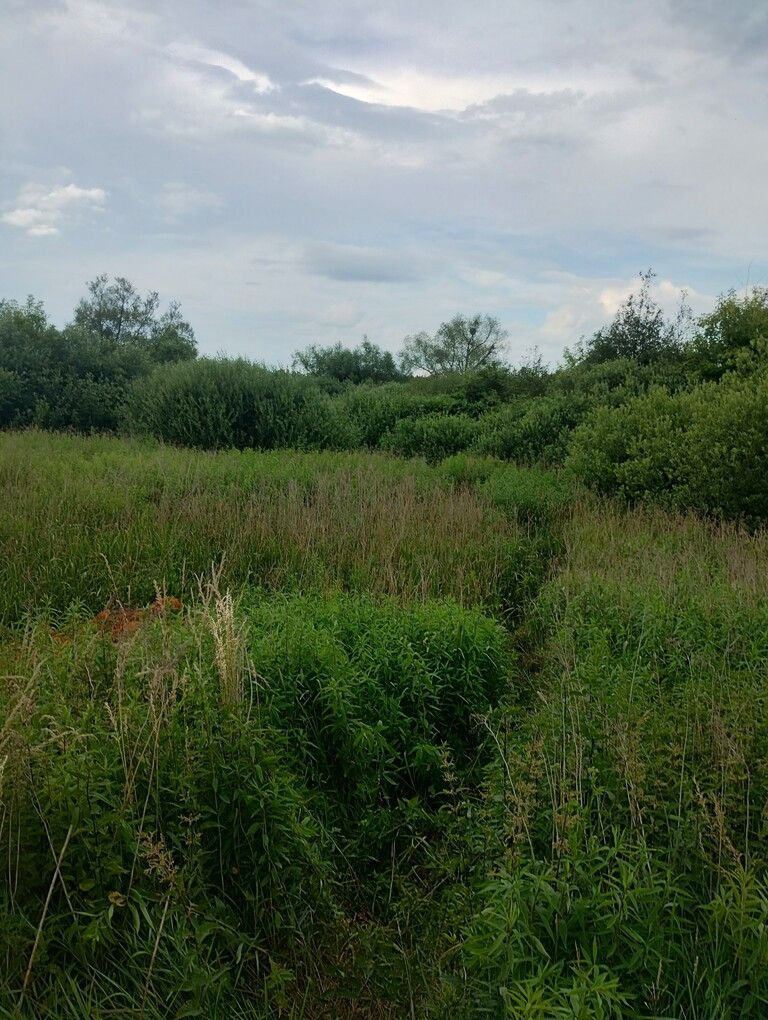 Działka Sprzedaż Gołąb