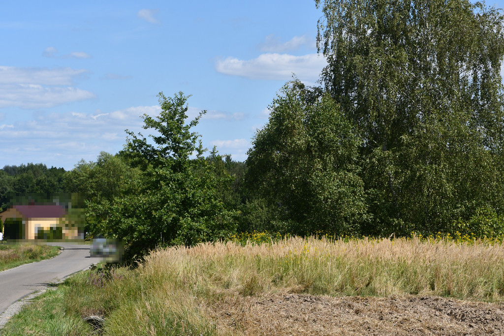 Działka Sprzedaż Strażów 12