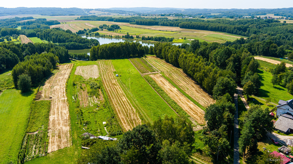 Działka Sprzedaż Skrzyszów 17