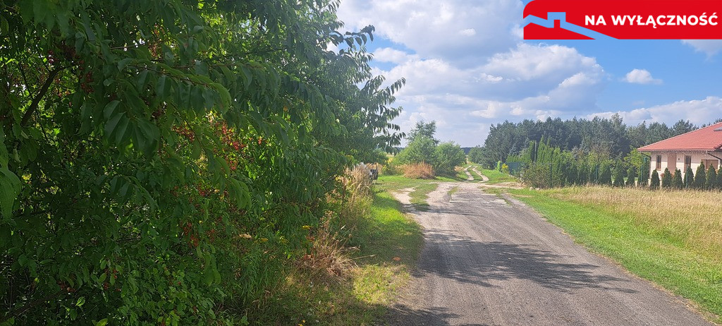 Działka Sprzedaż Suszno Olszana 4