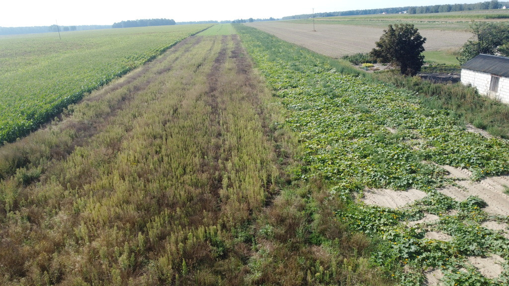 Działka Sprzedaż Miłków-Kolonia 5