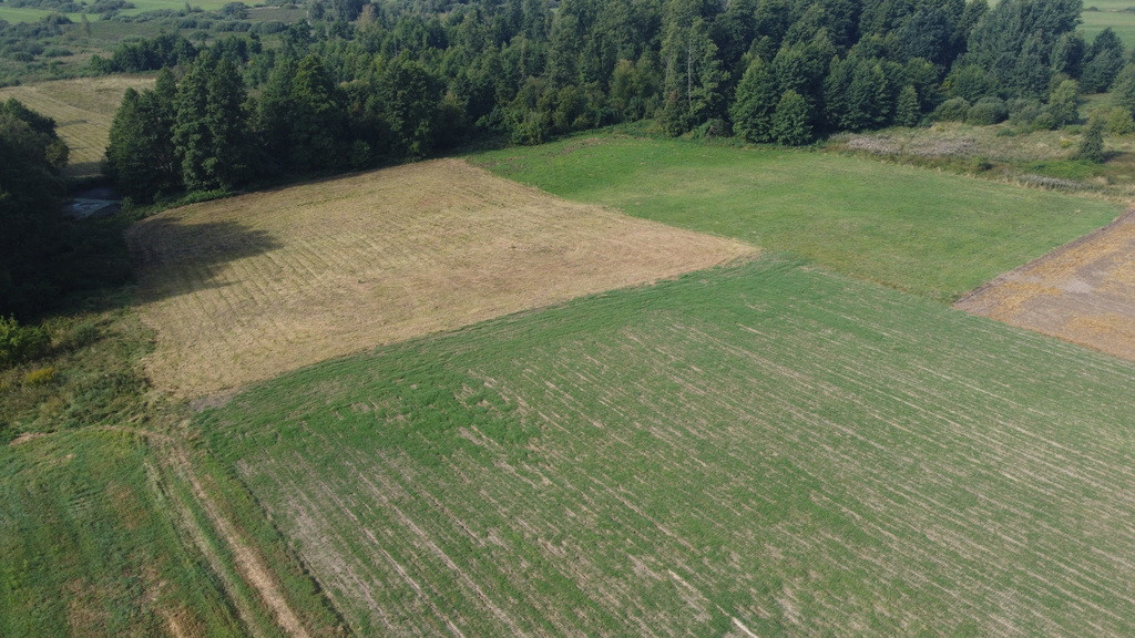 Działka Sprzedaż Żminne 17