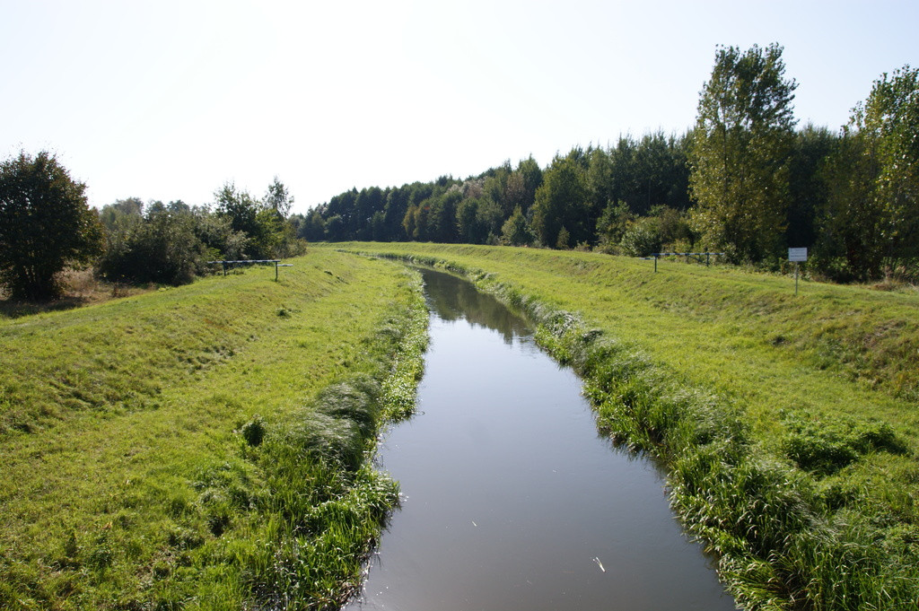 Działka Sprzedaż Krasne 20