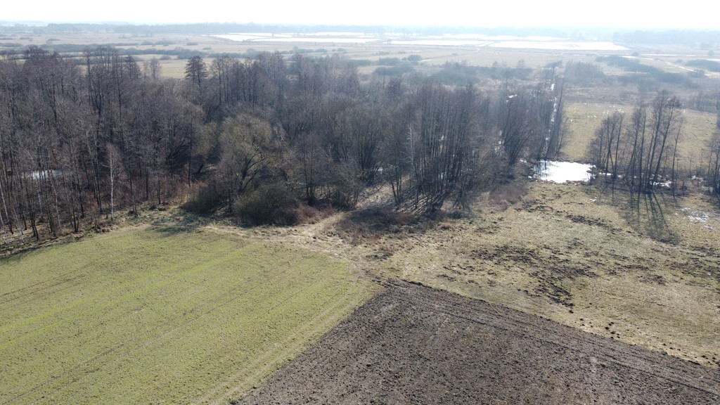 Działka Sprzedaż Żminne 14