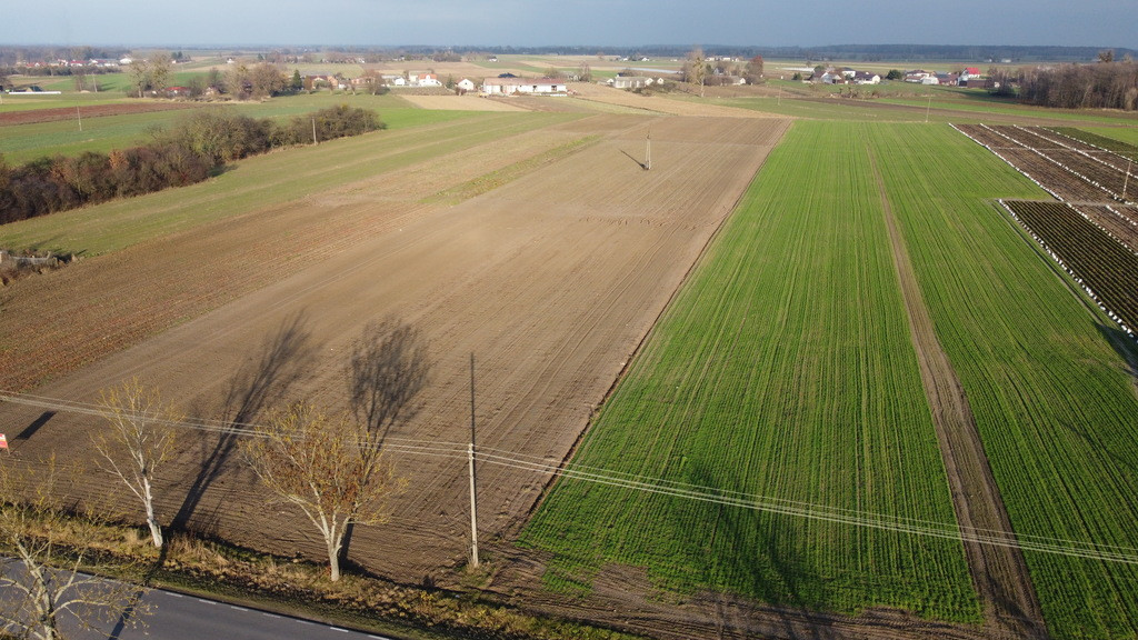 Działka Sprzedaż Helenów 4