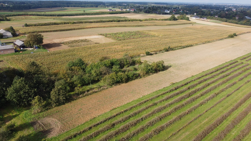 Działka Sprzedaż Motycz 1