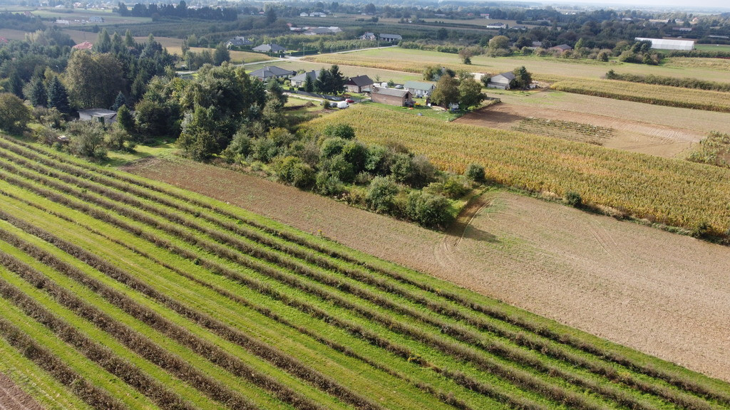 Działka Sprzedaż Motycz 4