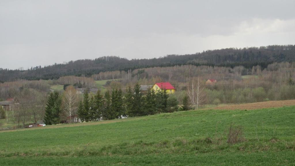 Działka Sprzedaż Dubiecko