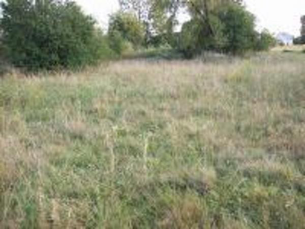 Działka Sprzedaż Lubaczów