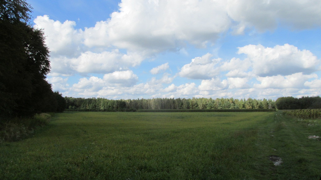 Działka Sprzedaż Lubaczów