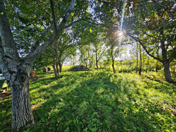 Działka Sprzedaż Smugi