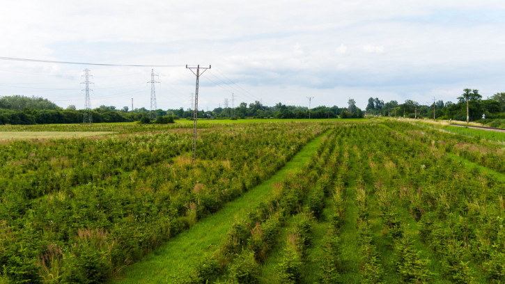 Działka Sprzedaż Tarnowiec 7