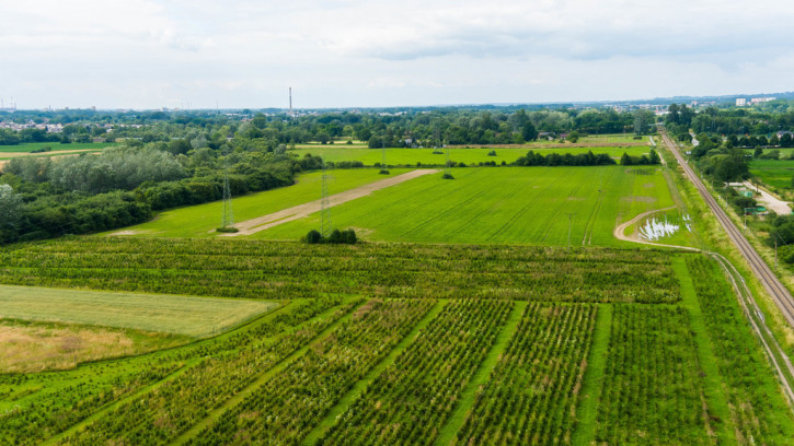 Działka Sprzedaż Tarnowiec 3