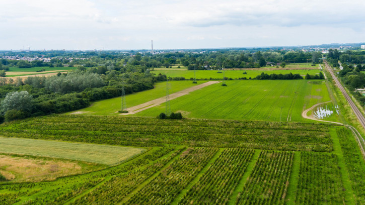Działka Sprzedaż Tarnowiec 9