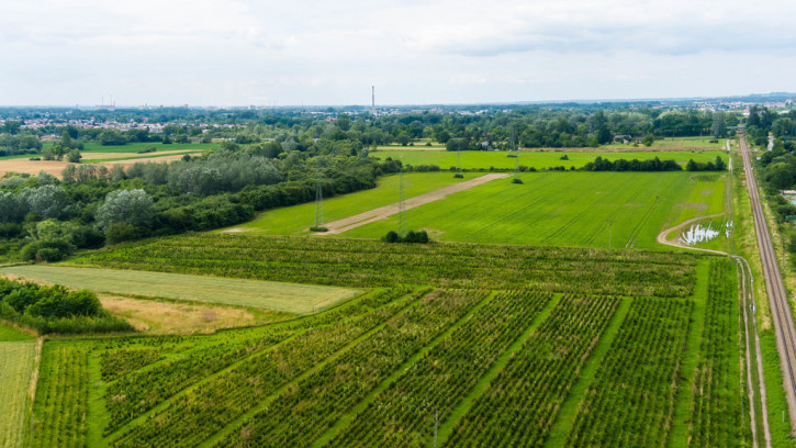 Działka Sprzedaż Tarnowiec 5