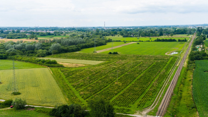 Działka Sprzedaż Tarnowiec 2