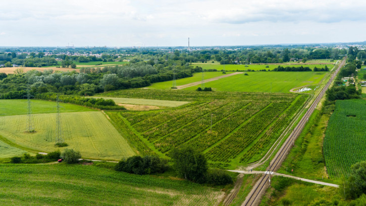 Działka Sprzedaż Tarnowiec 10