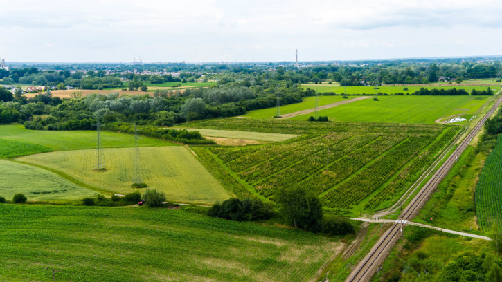 Działka Sprzedaż Tarnowiec 1