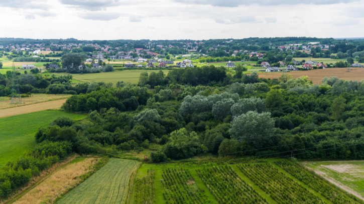 Działka Sprzedaż Tarnowiec 16