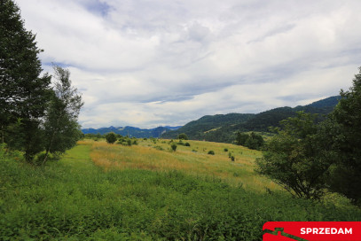 Działka Sprzedaż Krościenko Nad Dunajcem Lubań