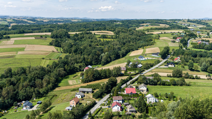 Dom Sprzedaż Rożnowice 980 6