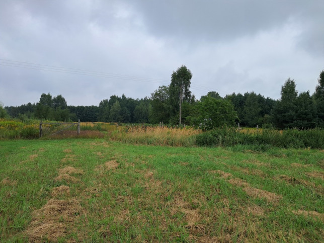 Działka Sprzedaż Opole Lubelskie Zagrody 1