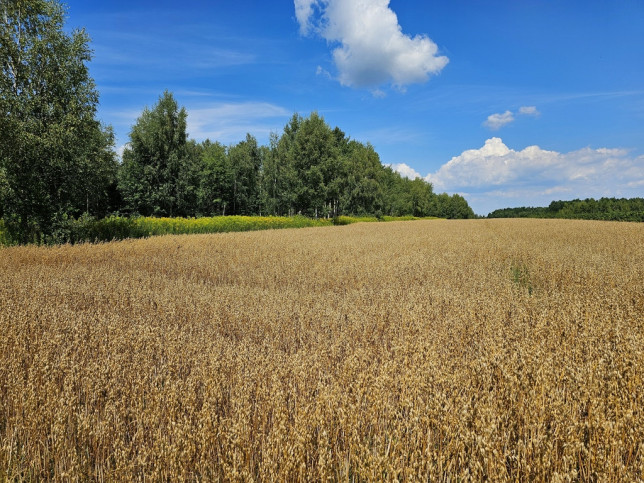 Działka Sprzedaż Karczmiska Drugie 2