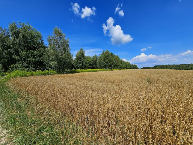 Działka Sprzedaż Karczmiska Drugie 4