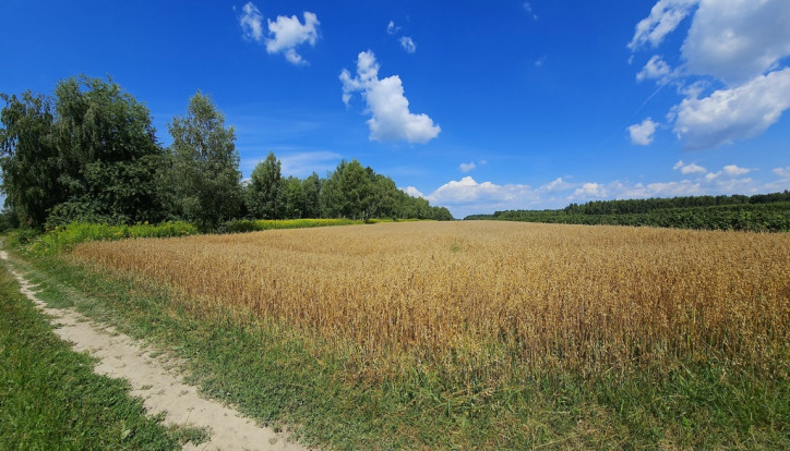 Działka Sprzedaż Karczmiska Drugie 1