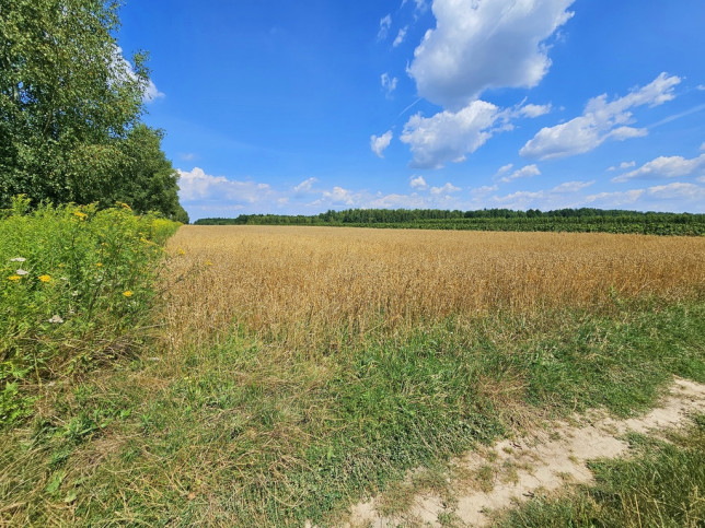 Działka Sprzedaż Karczmiska Drugie 6