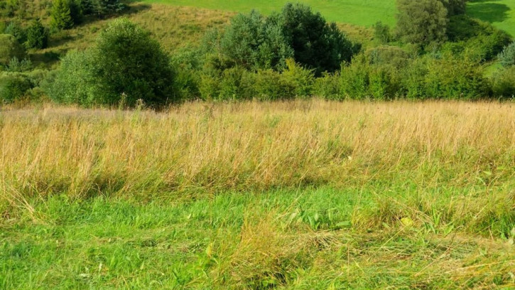 Działka Sprzedaż Krynica-Zdrój 2