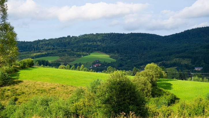 Działka Sprzedaż Krynica-Zdrój 1