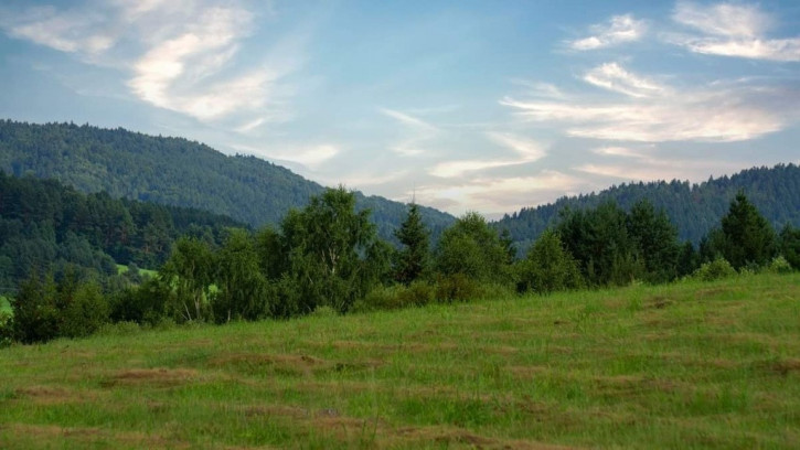 Działka Sprzedaż Krynica-Zdrój 10