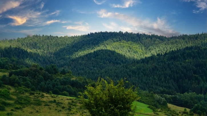 Działka Sprzedaż Krynica-Zdrój 11