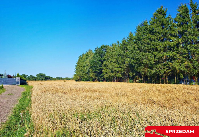 Działka Sprzedaż Zemborzyce Dolne 2