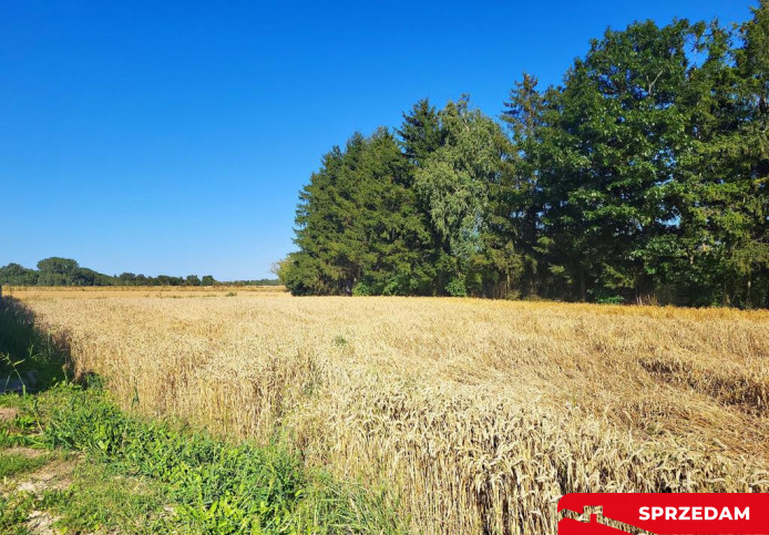 Działka Sprzedaż Zemborzyce Dolne 5